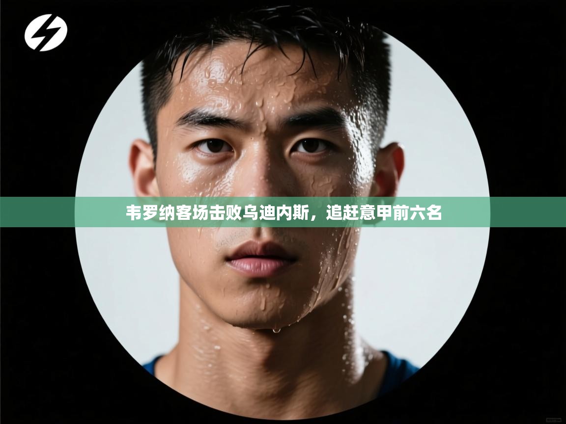 韦罗纳客场击败乌迪内斯,追赶意甲前六名 第1张