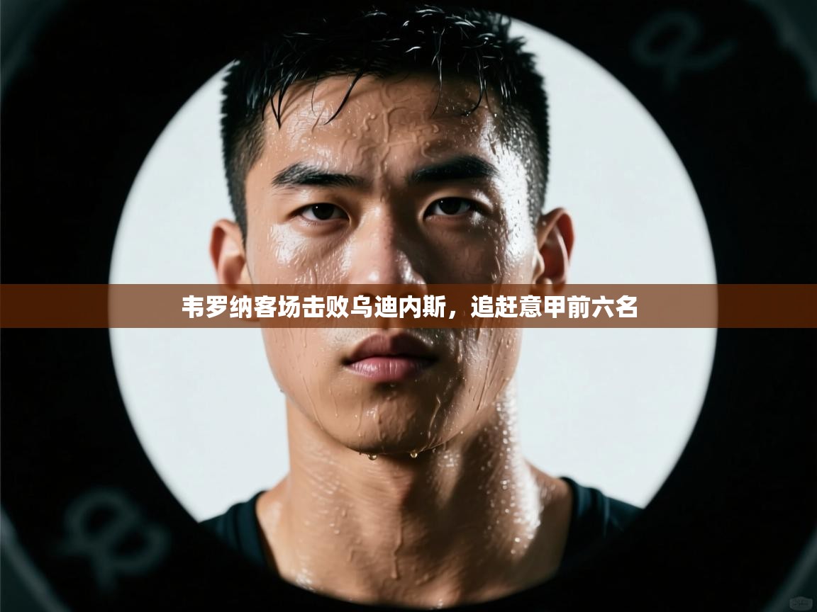 韦罗纳客场击败乌迪内斯,追赶意甲前六名 第2张