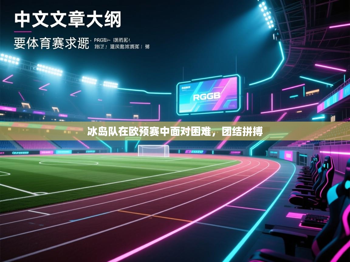 冰岛队在欧预赛中面对困难，团结拼搏  第2张