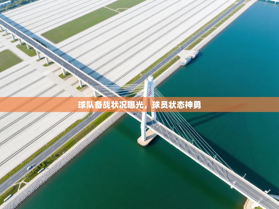 球队备战状况曝光，球员状态神勇  第1张