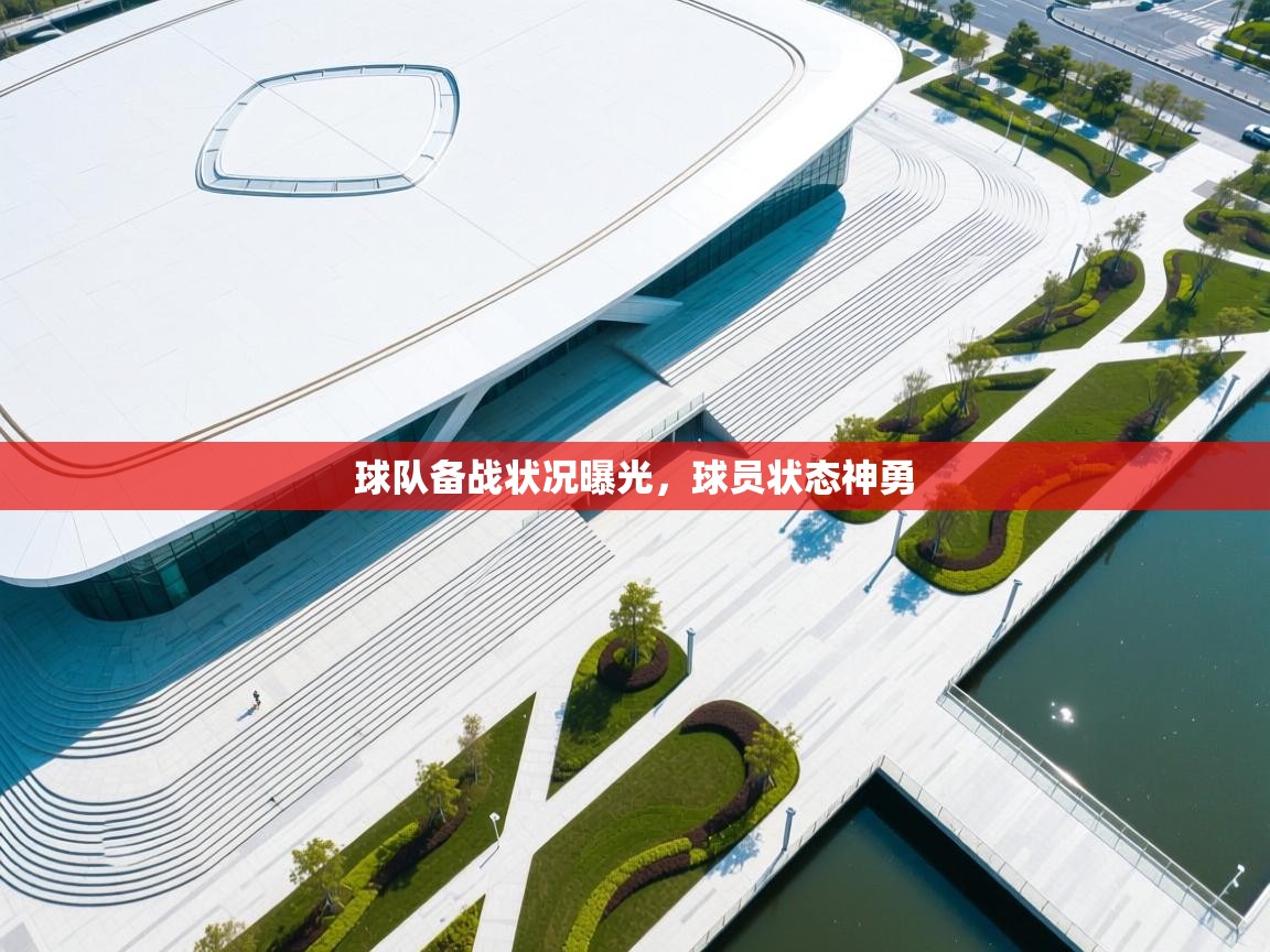 球队备战状况曝光，球员状态神勇  第2张